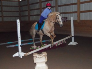 horse jumping clinic exercise