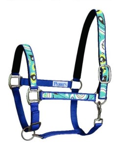 best halters for horses