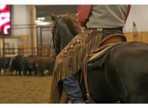 horse training techniques