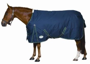 winter horse care turnout sheet