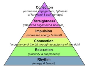training pyramid